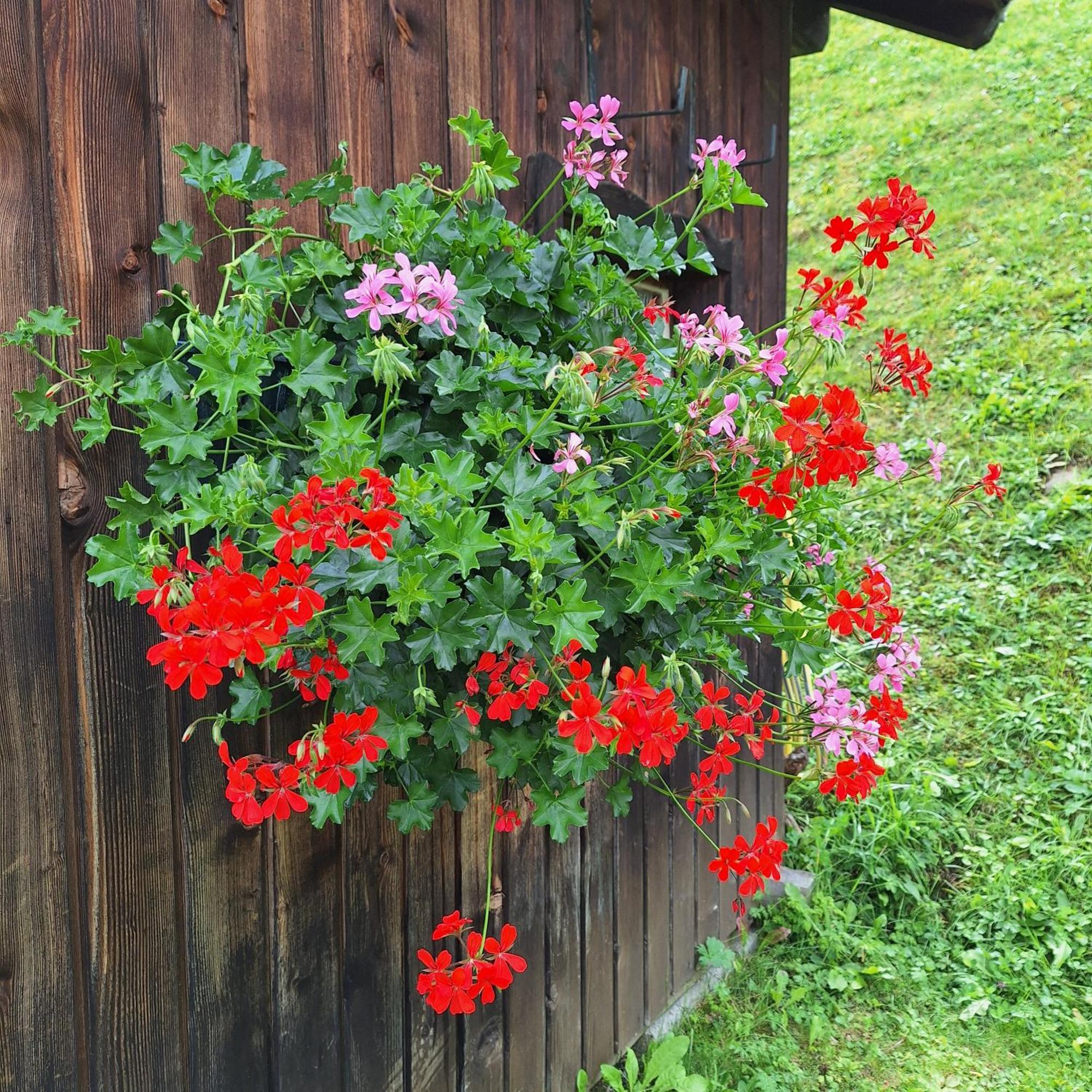 Apartment Romana Selva di Val Gardena Exterior foto